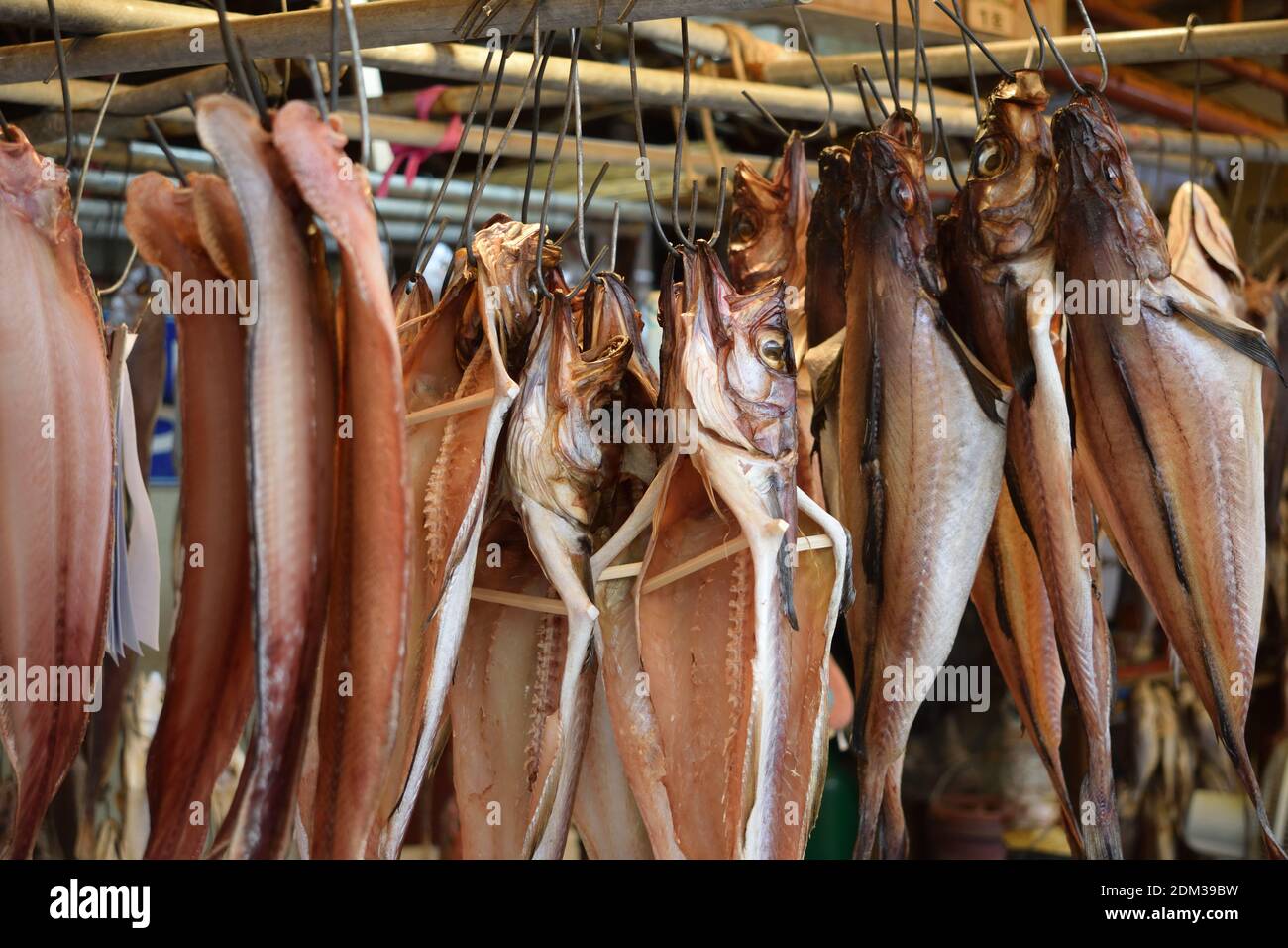 Dried fish on hooks at Jagalchi Fish Market, Busan, Korea Stock Photo