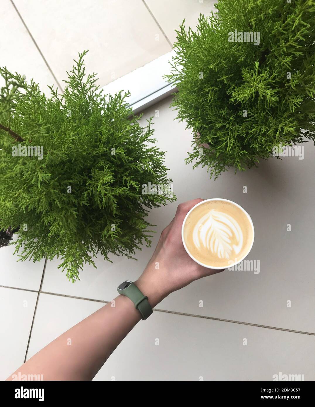 Hand holding cappuccino on non dairy plant milk with beautiful rosetta