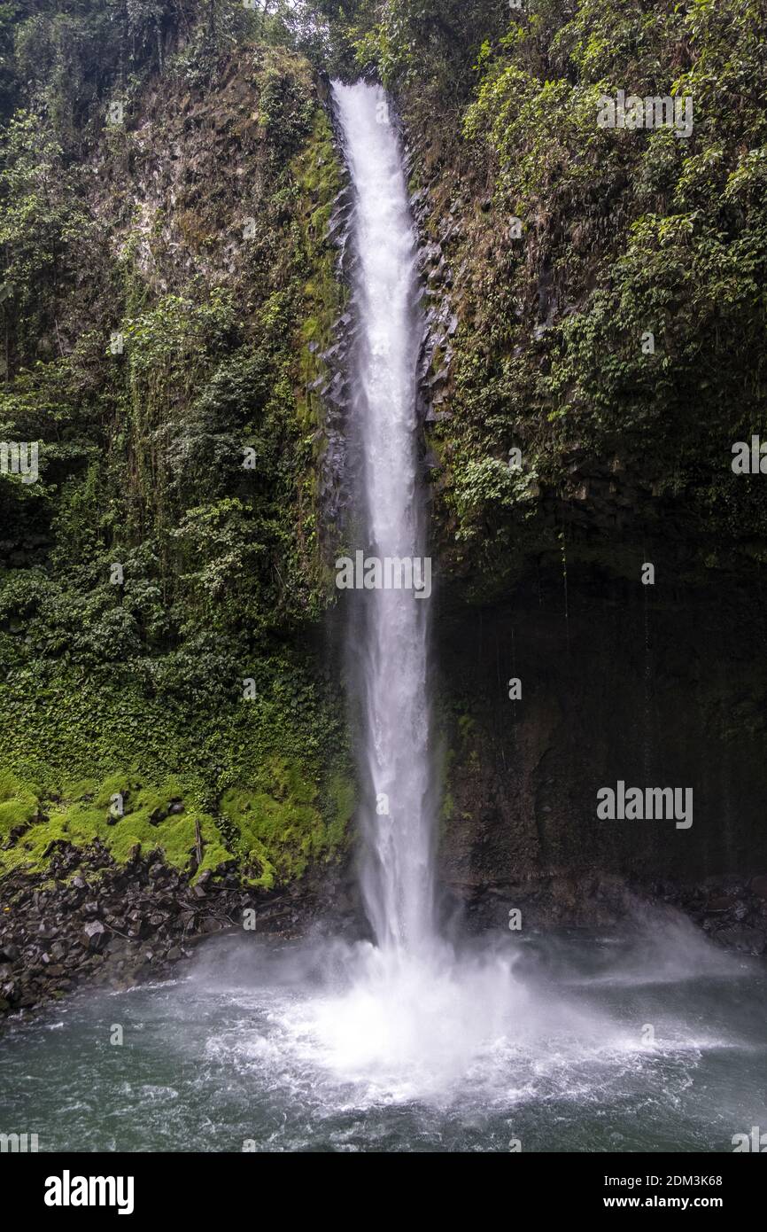 A vertical shot of a small waterfall on the rocks in the forest Stock ...