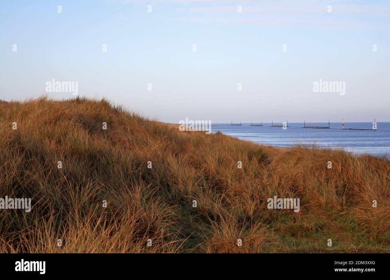 A view of sand dunes with marram grass, Ammophilia arenaria, overlooking the beach and sea at Waxham, Norfolk, England, United Kingdom. Stock Photo