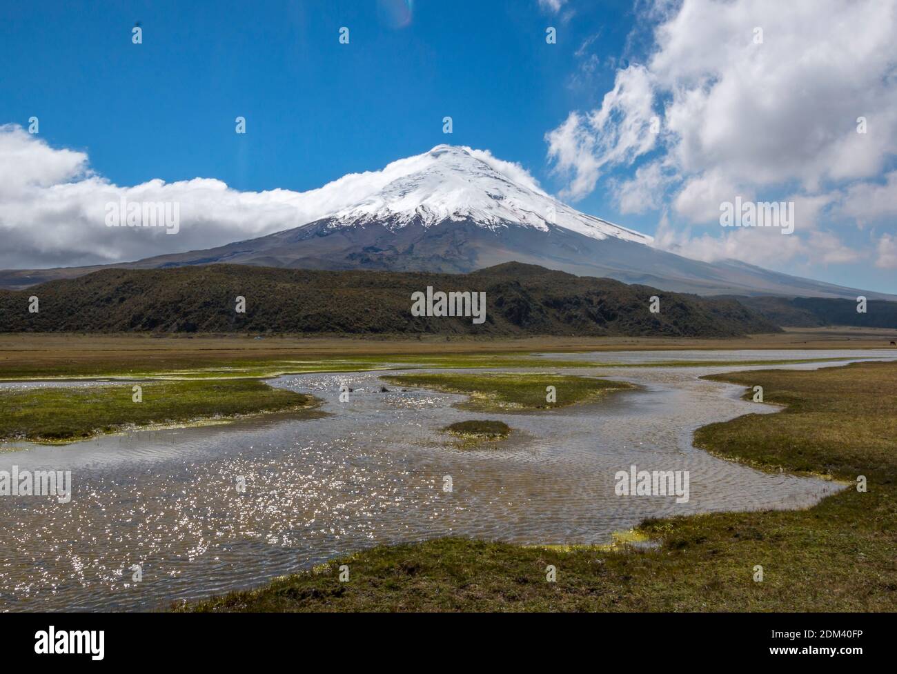 The snowcapped Cotopaxi Volcano with a lake  (Laguna Limpiopungo) in foreground. Cotopaxi National Park in the Ecuadorian Andes. Stock Photo