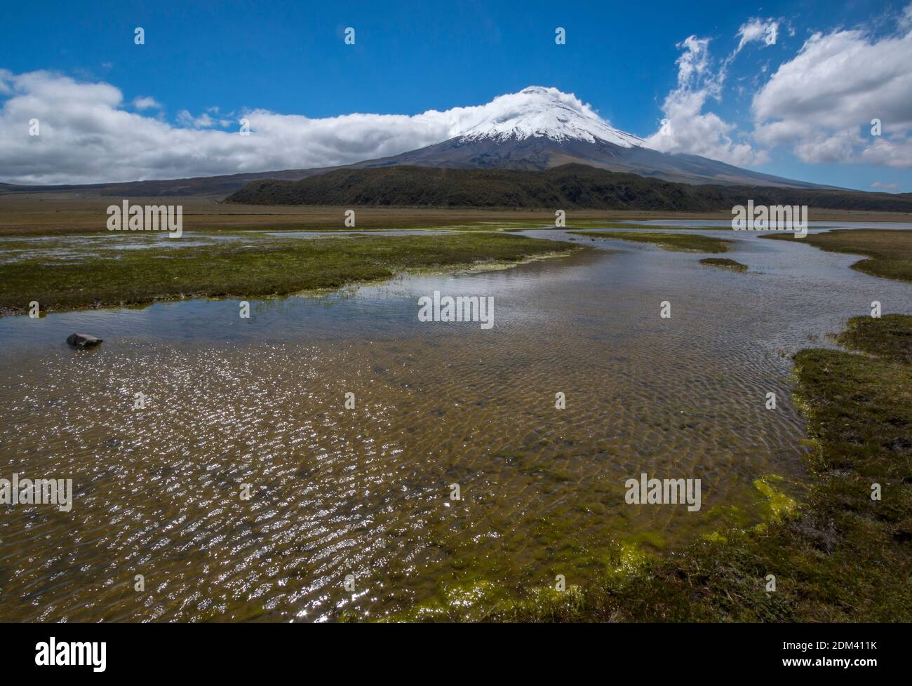 The snowcapped Cotopaxi Volcano with a lake  (Laguna Limpiopungo) in foreground. Cotopaxi National Park in the Ecuadorian Andes. Stock Photo