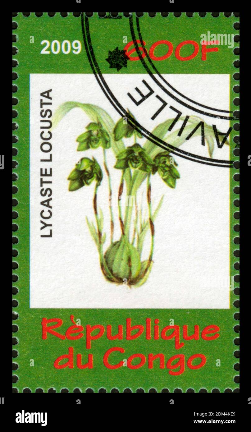 Stamp print in Congo,flowers, Lycaste locusta Stock Photo