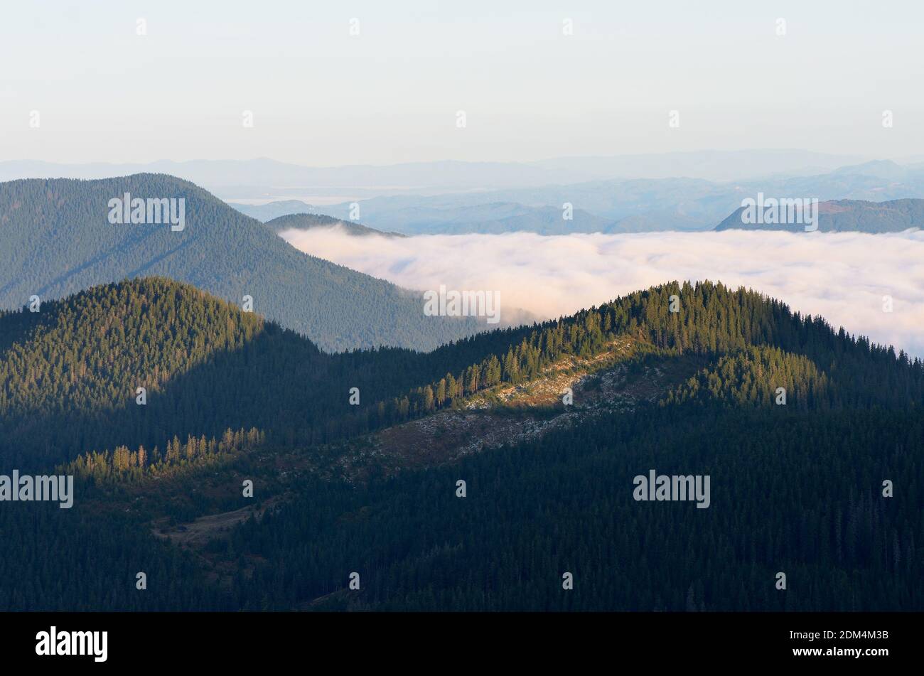 Mountain landscape. Morning fog. Carpathians. Ukraine, Europe Stock Photo