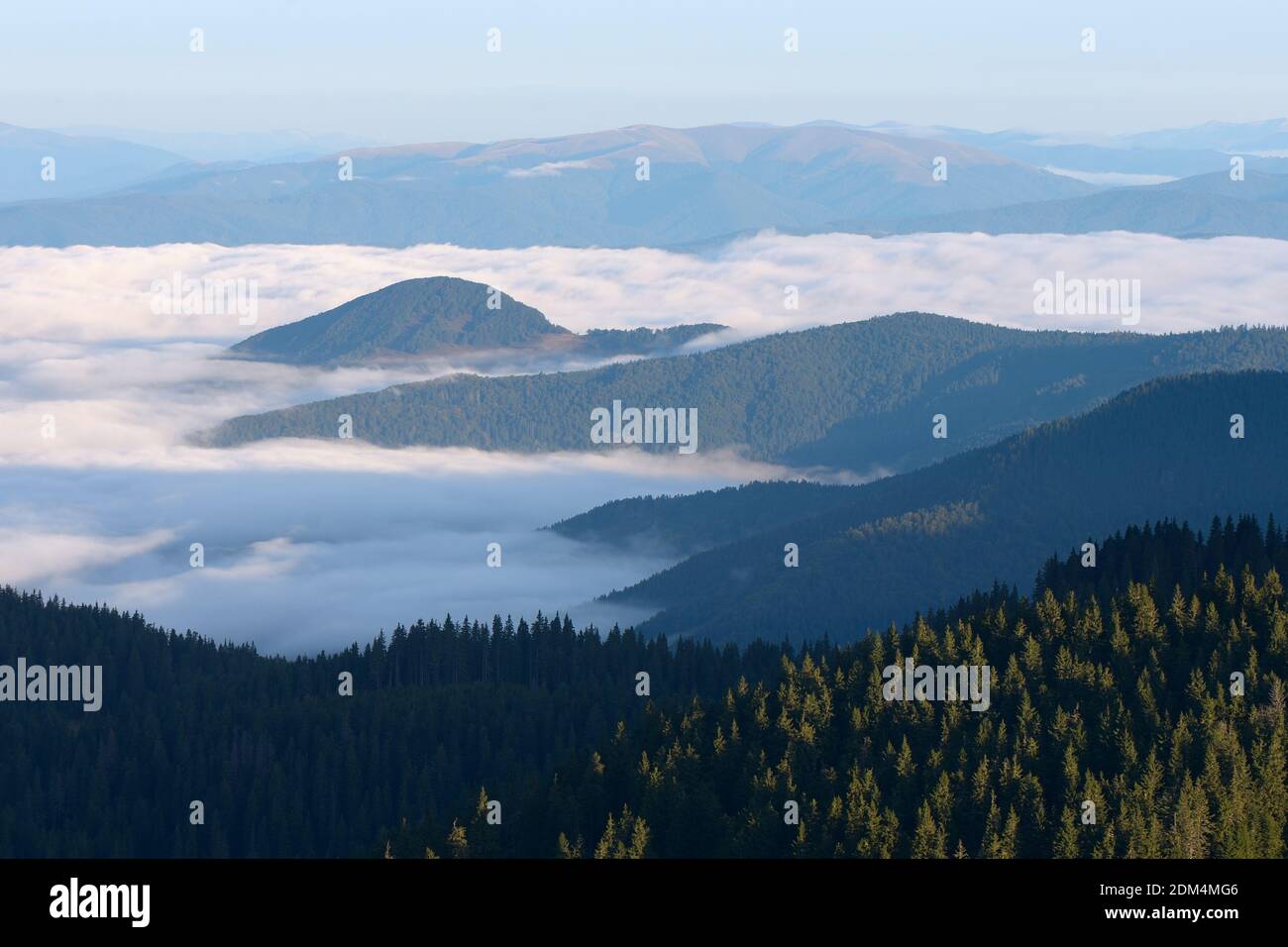 Morning fog. Mountain landscape. Beauty in nature. Carpathians, Ukraine, Europe Stock Photo