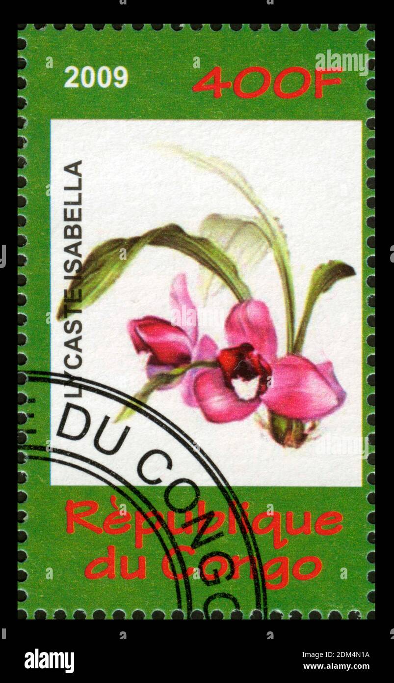 Stamp print in Congo,2009,flowers,Lycaste isabella,plants Stock Photo