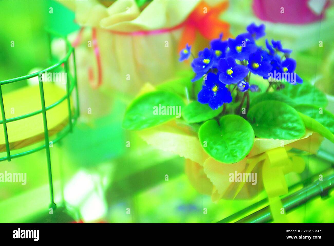 ORNAMENT life style, home, office, gift decorative items for living