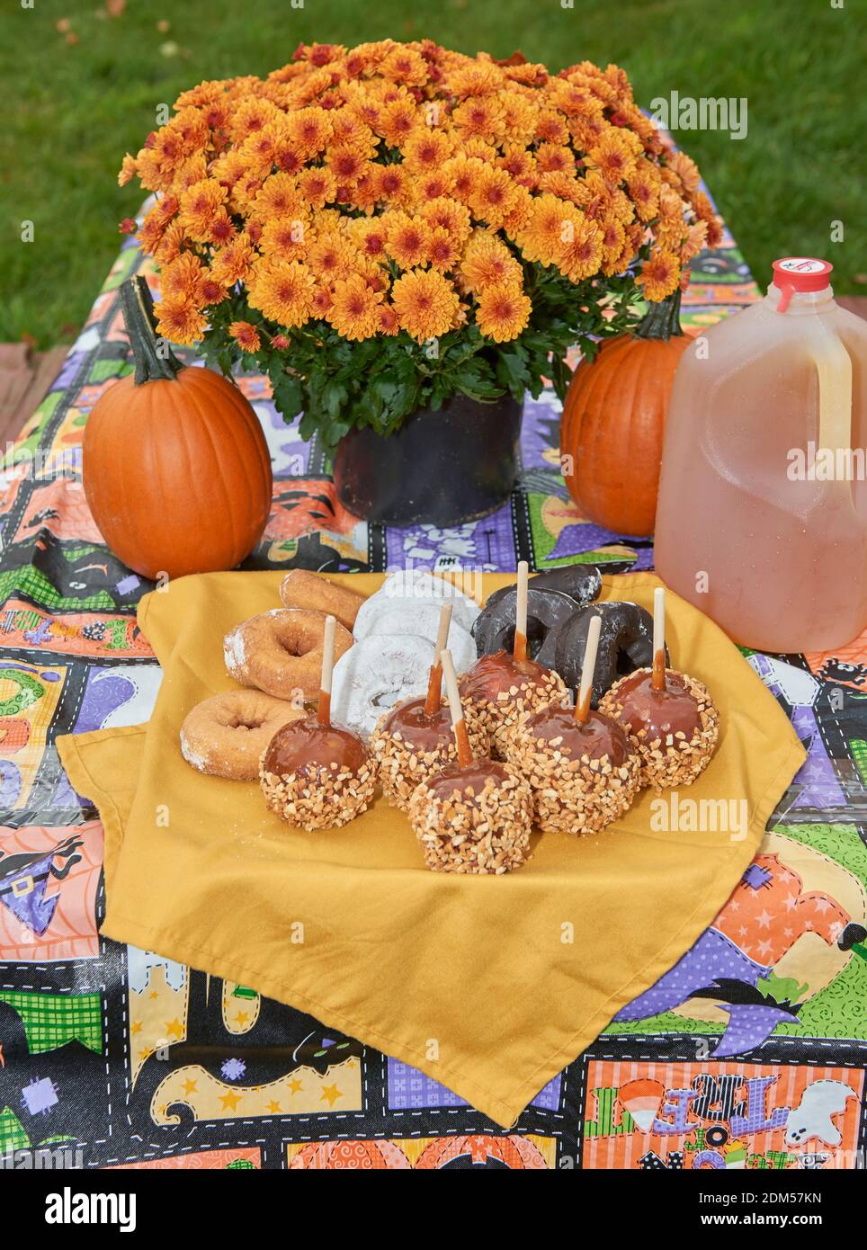 Halloween and Fall Season snacks and drinks laid out on picnic table