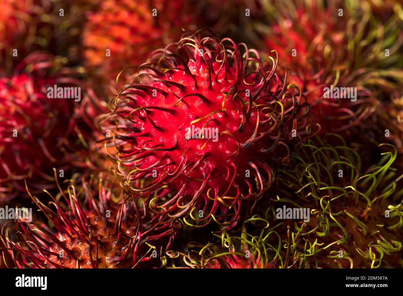 Raw Red Organic Rambutan Fruit Ready to Eat Stock Photo - Alamy
