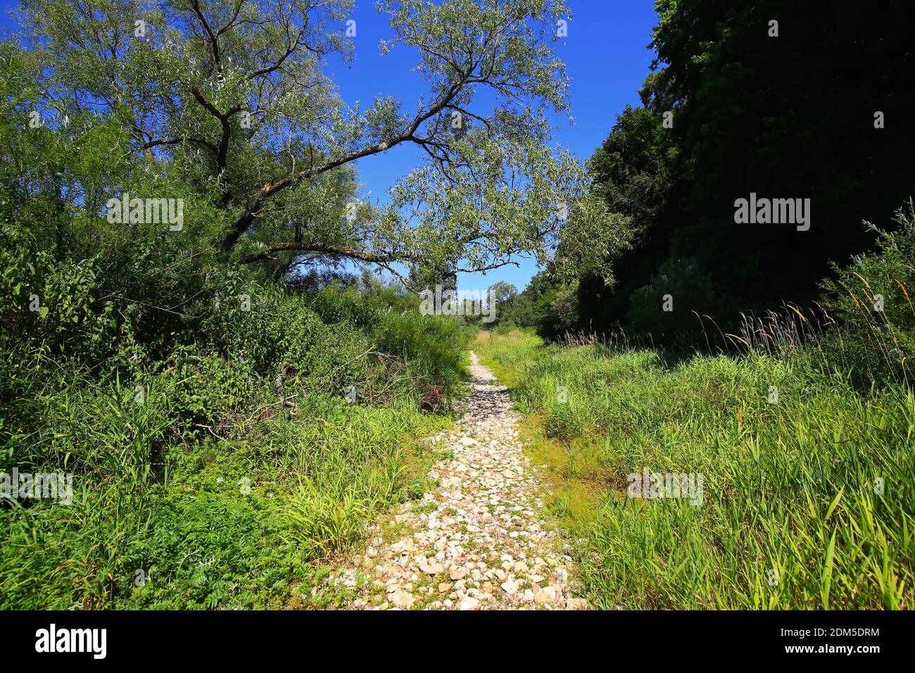 Between Immendingen and Möhringen and near Fridingen, the water of the Danube occasionally seeps away completely in the river bed Stock Photo