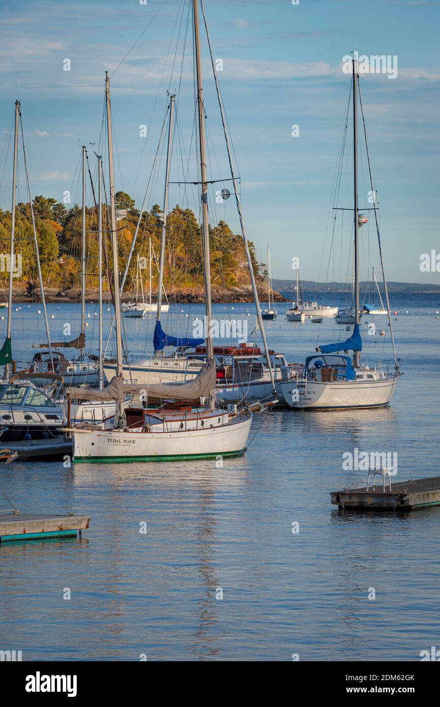 Sailboats on a fall evening in the harbor, Camden, Maine, USA Stock Photo