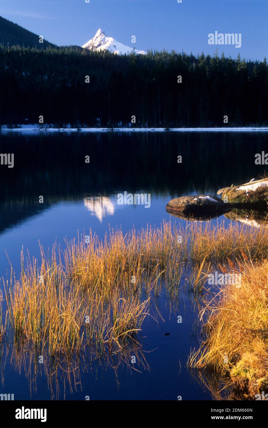 Suttle Lake & Mt Washington, Deschutes National Forest, Oregon Stock Photo