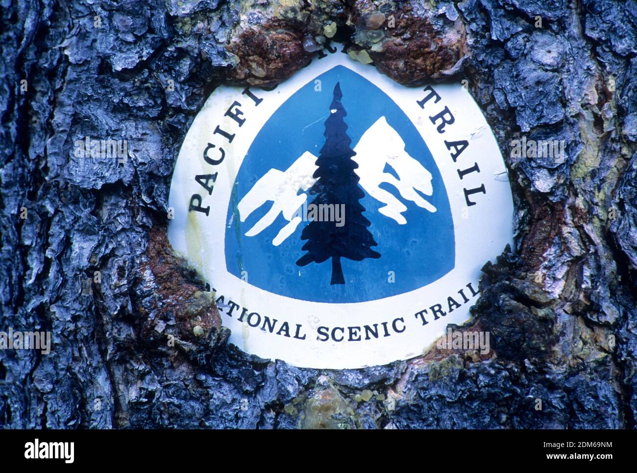 Pacific Crest Trail marker near Sister Mirror Lake, Three Sisters Wilderness, Deschutes National Forest, Oregon Stock Photo