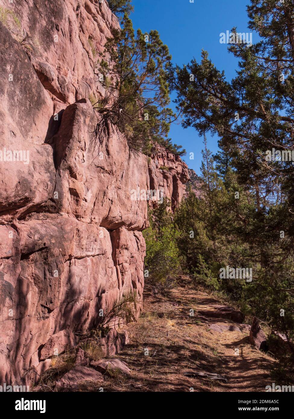 Trailside cliffs, Green River, Little Hole Trail, Ashley National