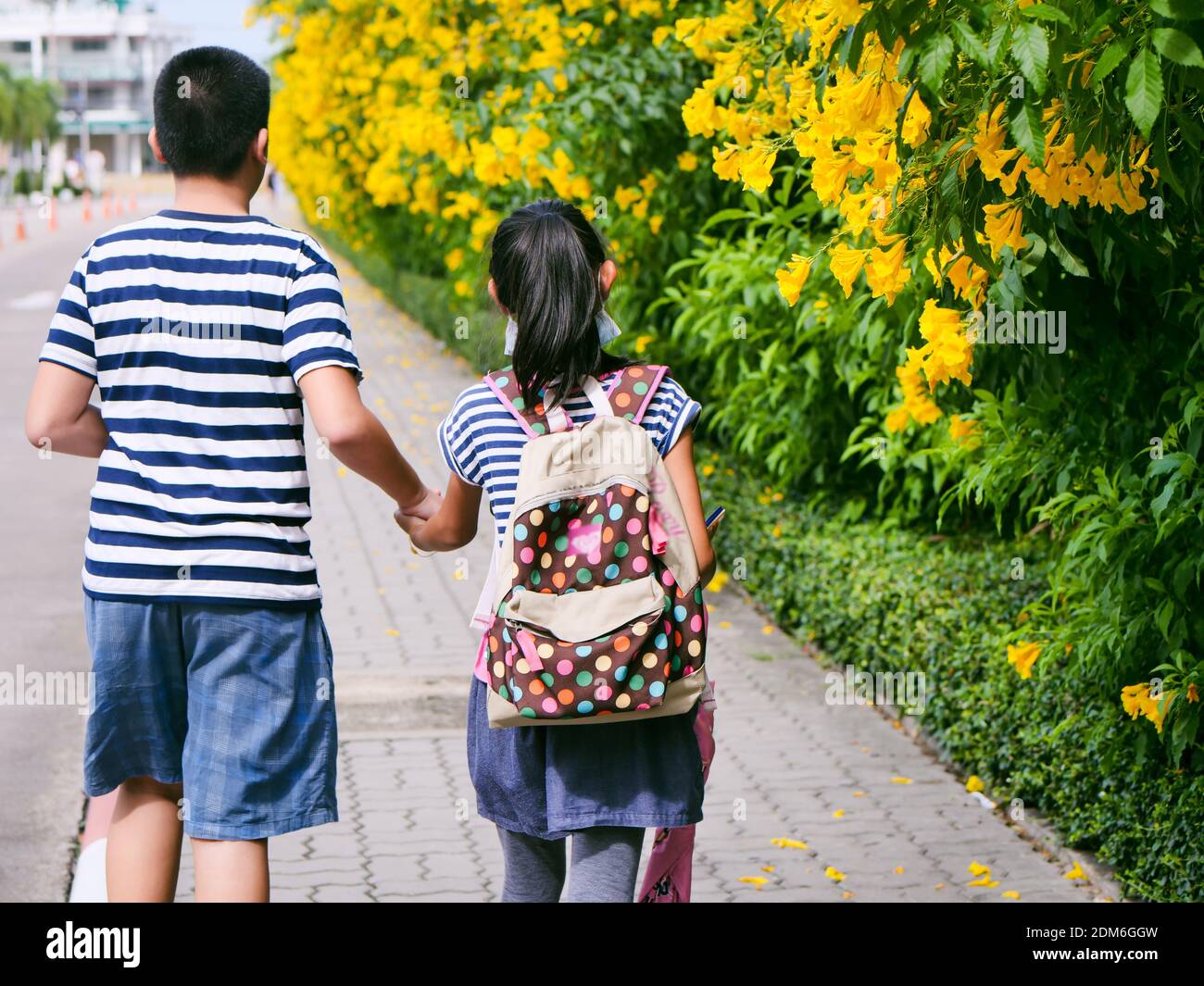 Brother sister holding hands 12 hi-res stock photography and images - Alamy