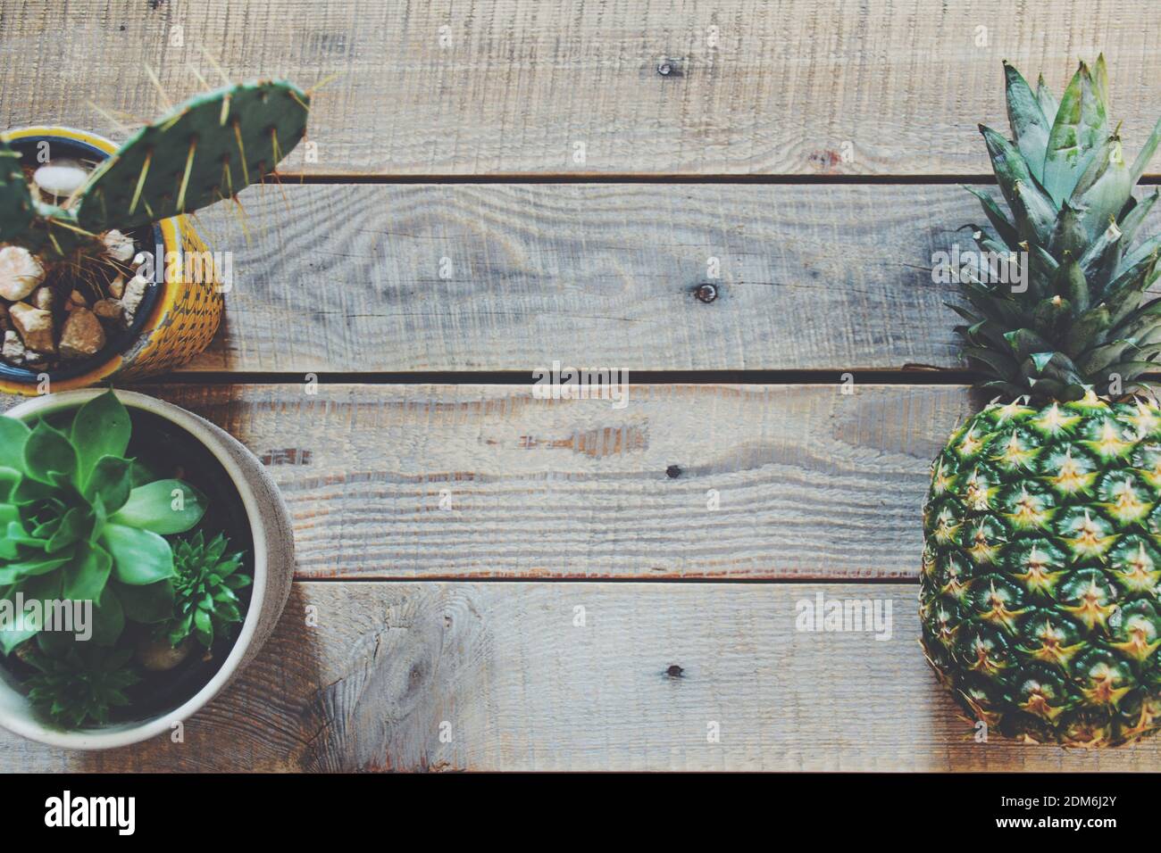 High Angle View Of Plants And Pineapple On Wooden Table. Copy Spce. Stock Photo
