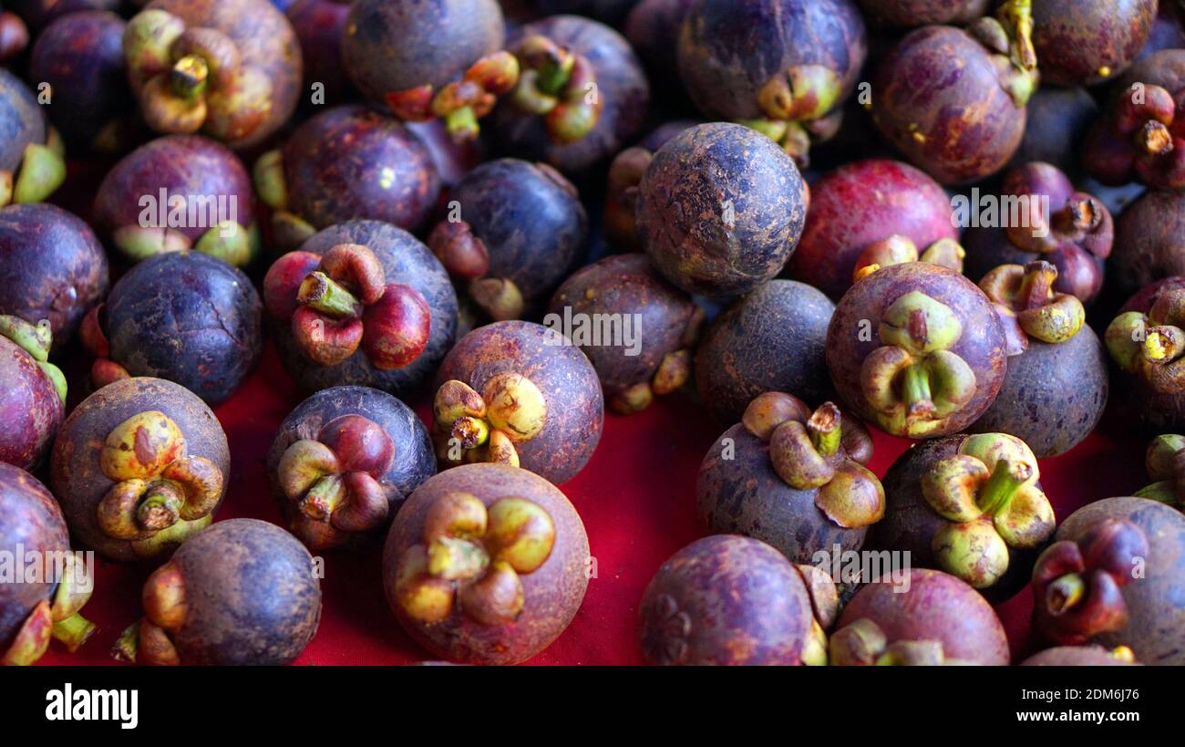 Mangosteen queen of fruit hires stock photography and images Alamy