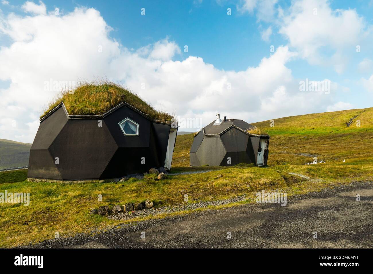Weird eco friendly houses two tiny geometric igloo homes with grass