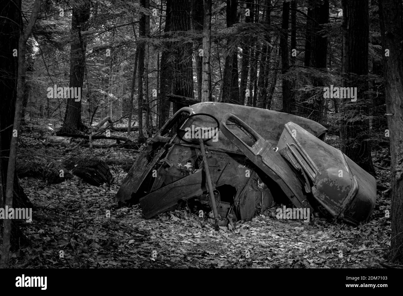 old ford truck found in woods Stock Photo