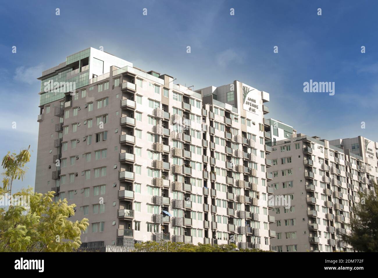 HULHUMALE, MALDIVES, MALDIVES Dec 12, 2020 Amin Avenue Oak Flats