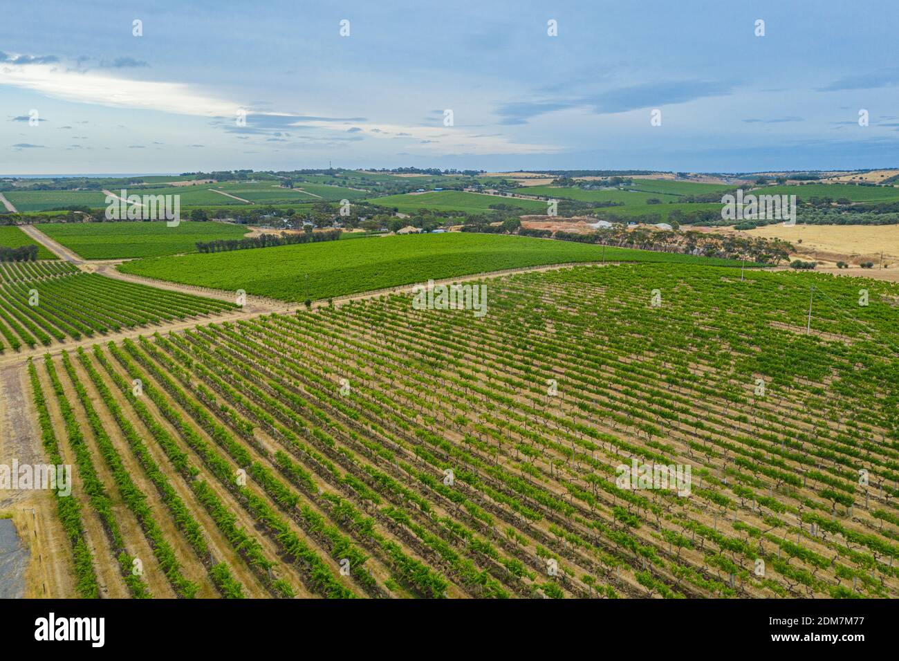 Aerial view of vineyards at McLaren Vale in Australia Stock Photo - Alamy