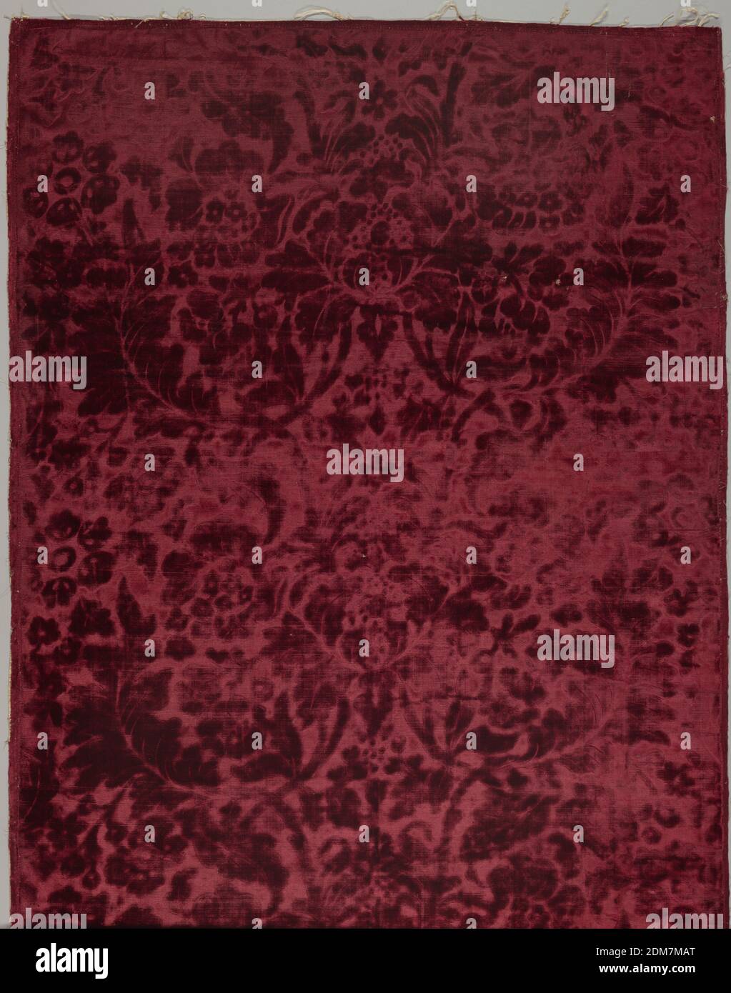 Fragment, Medium: silk Technique: embossed cut velvet, Rectangle of so-called frappe velvet in deep ruby with naturalistic design of flowers closely surrounded by plumelike leafage, rising slightly above pressed ground. Selvages appear to have been cutt off. Lined and edged with galloon., 19th century, Fragment Stock Photo