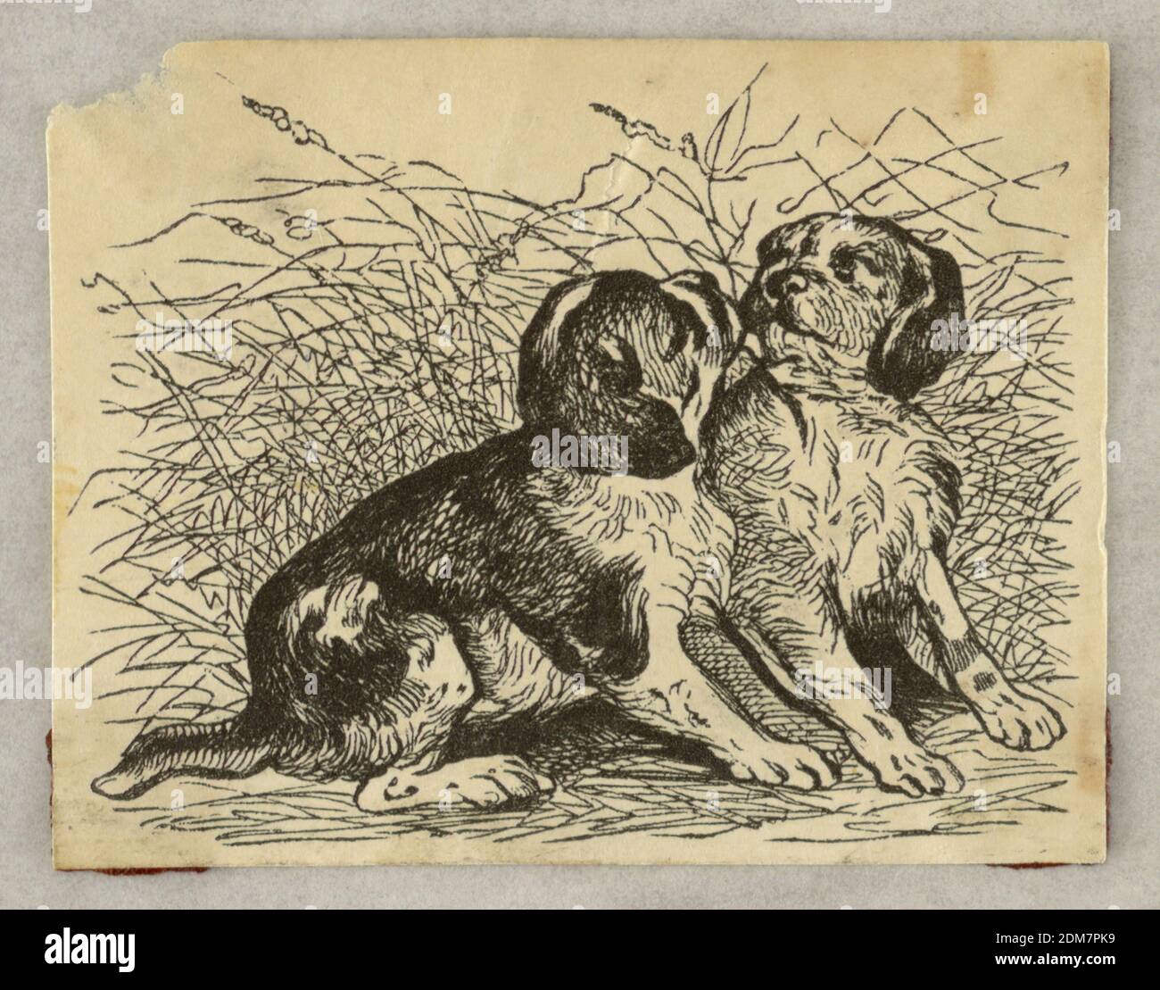 Two Dogs, Wood engraving on paper, They are seated in a field and gaze at each other