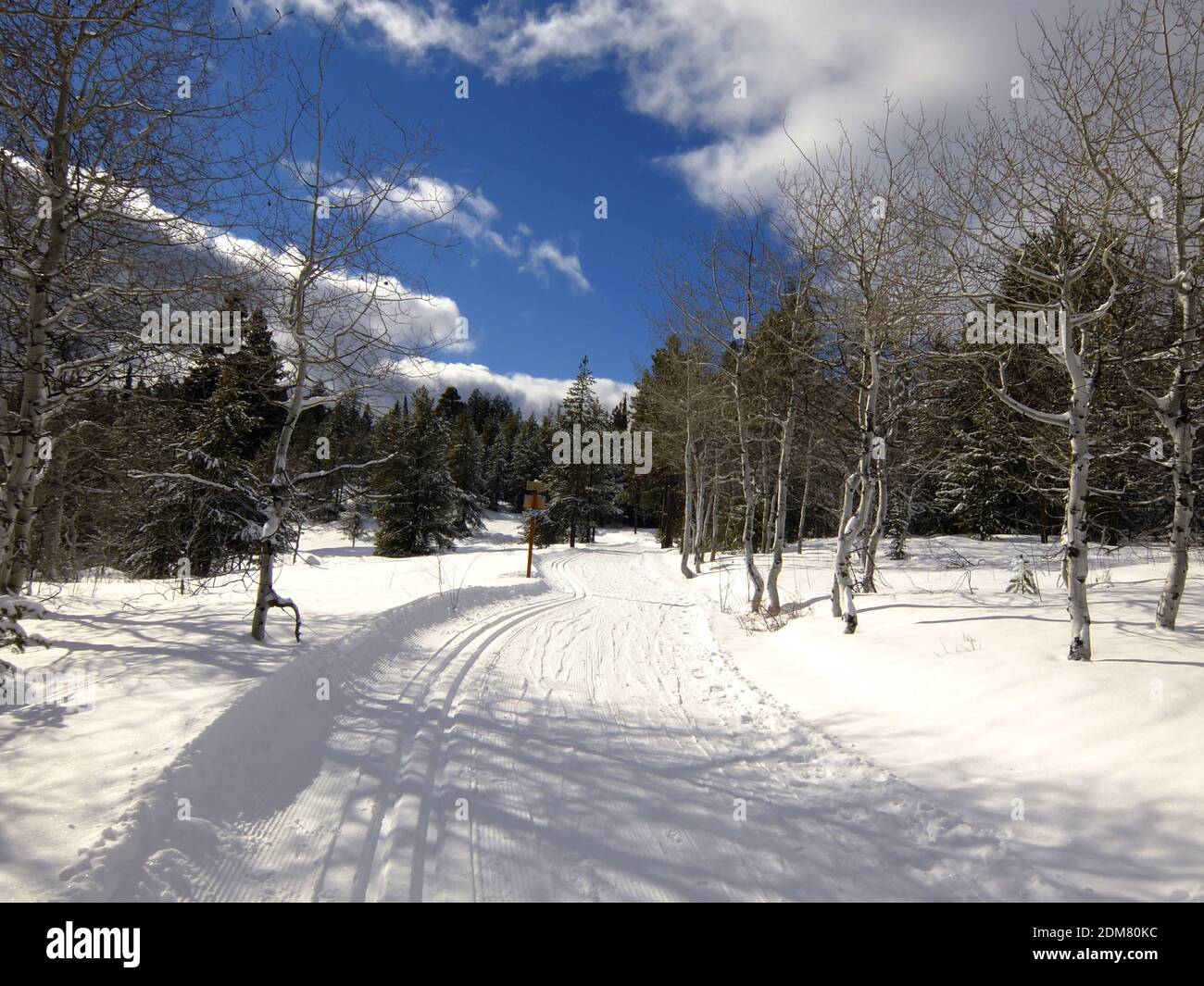 Elkhorn Loop at Idaho's Banner Ridge cross country ski trail system Stock Photo