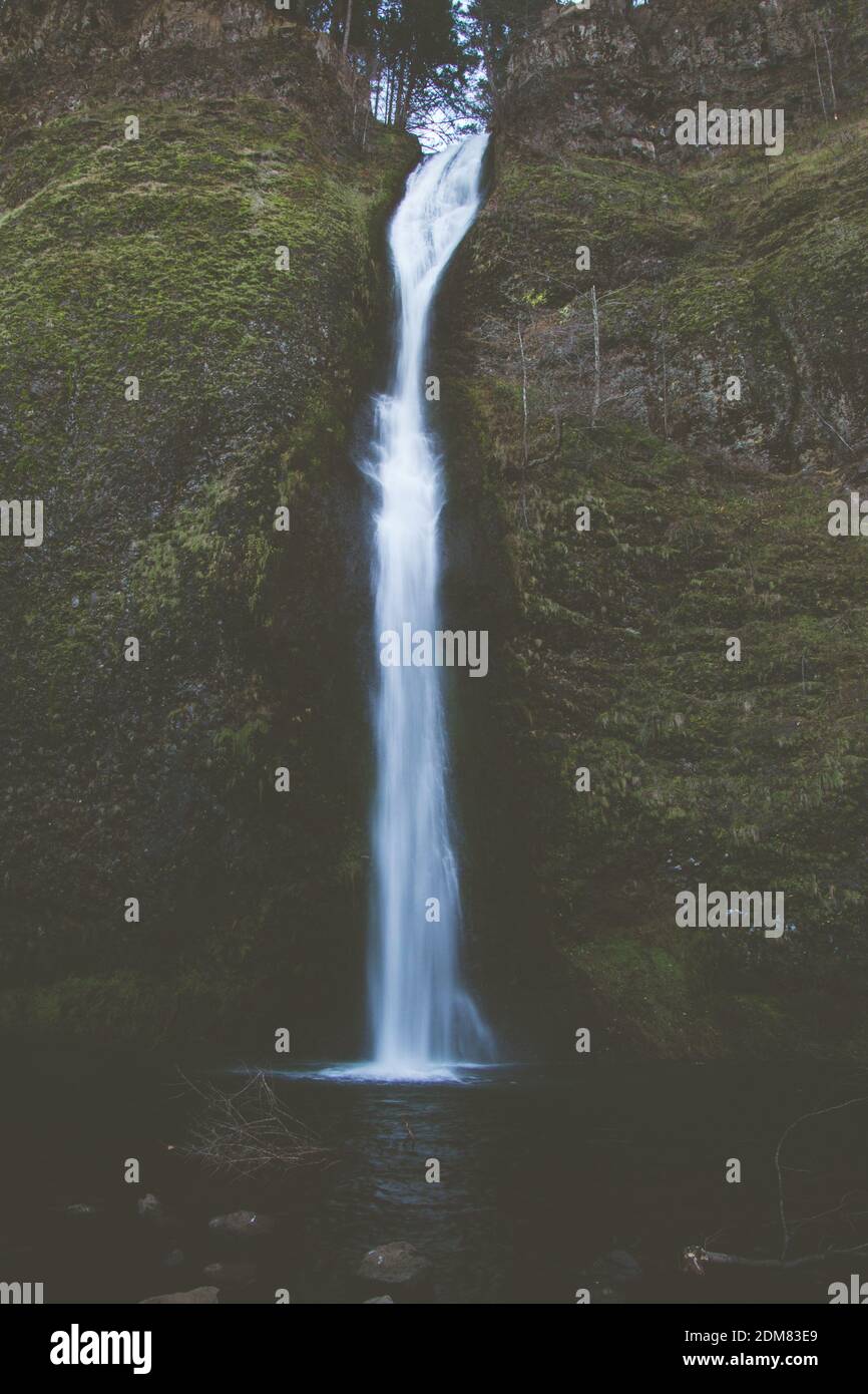 A beautiful vertical shot of a waterfall in a forest Stock Photo - Alamy