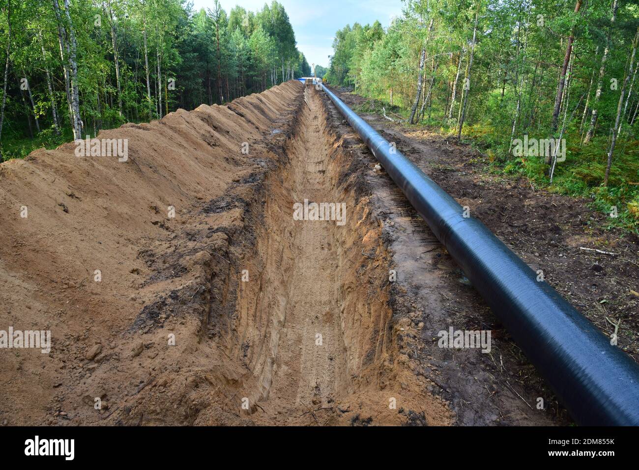 Crude oil and Natural gas pipeline construction work in forest area ...
