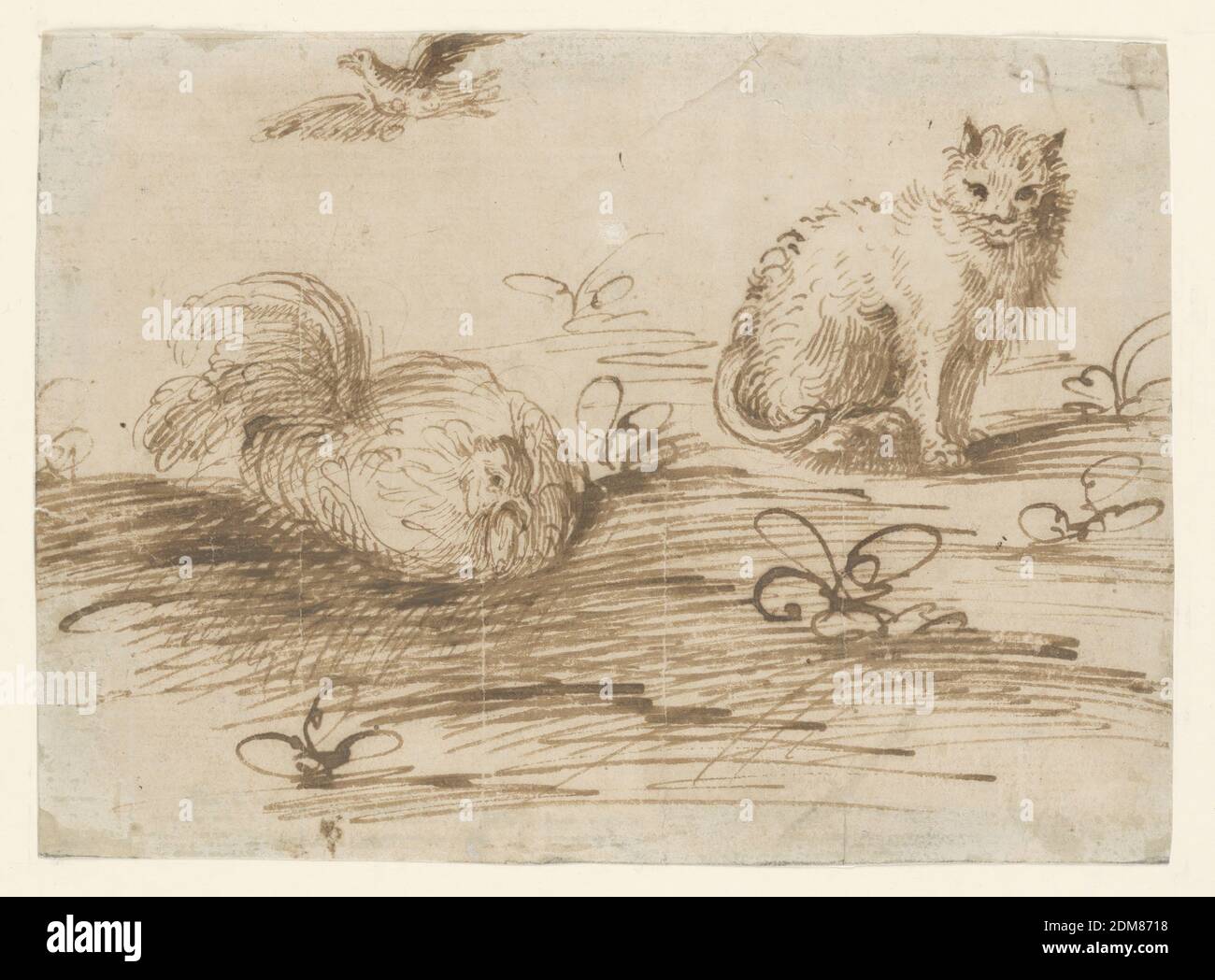 A Cat and a Setting Hen, Pen and brown ink on cream laid paper, A setting hen is on the left, and a bird flies directly above. On the right a placid-looking cat is staring forward. A few scattered plants emerge from the ground., Italy, 1575–1600, nature studies, Drawing Stock Photo