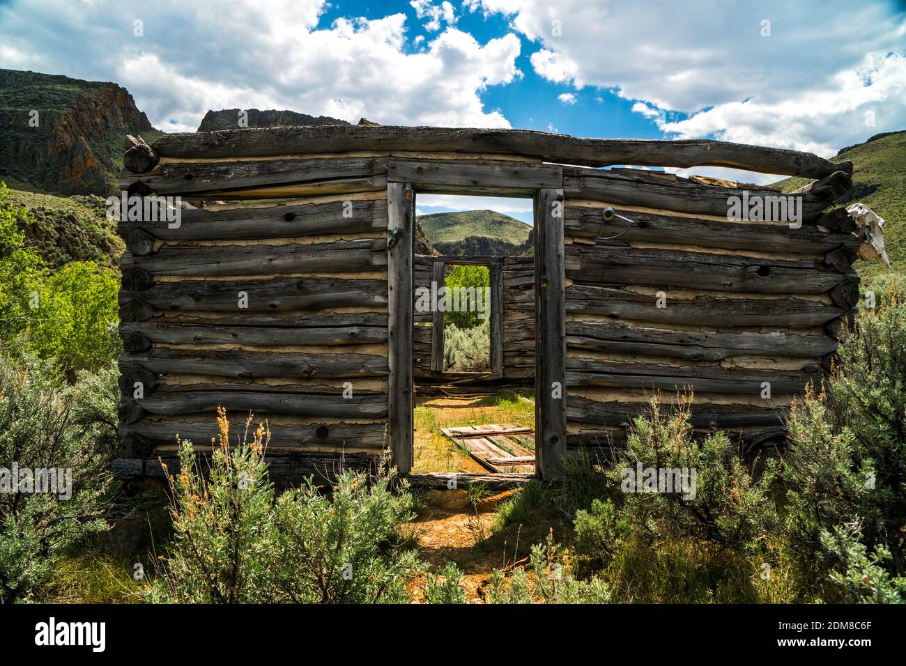 Old homestead cabin at Purjue Canyon along Shoofly Creek in Idaho's