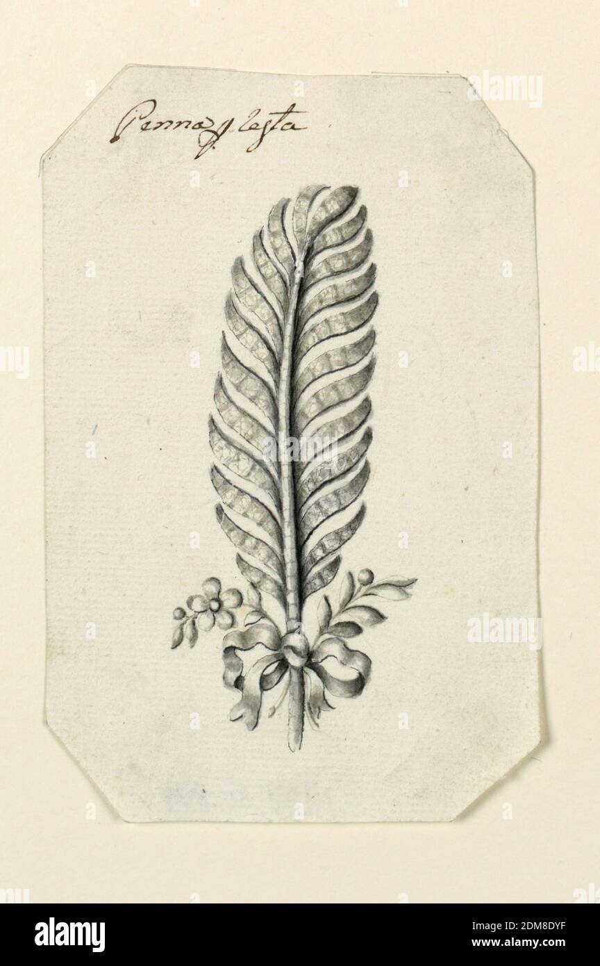 Design for a Feather Hairdress, Pen and black ink, brush and sepia wash on paper, Jewelry design for a hairdress in the form of a feather. Below at left, a stem with a blossom, a bead, leaves; at right a stem with bead and leaves, fastened to a long feather by a knotted ribbon. Beveled corners., Italy, late 18th century, jewelry, Drawing Stock Photo
