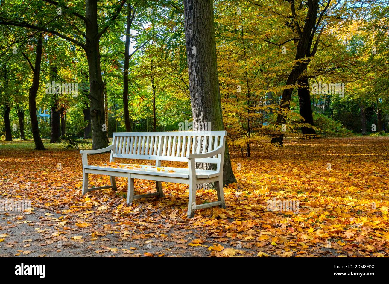 Autumn In The Park Stock Photo - Alamy
