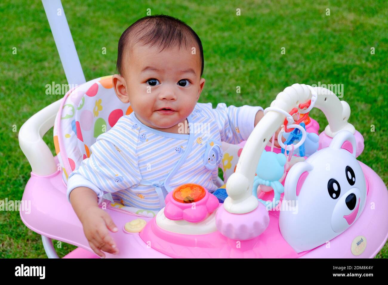 Portrait Of Cute Baby Boy Sitting In Baby Walker On Grass Stock Photo