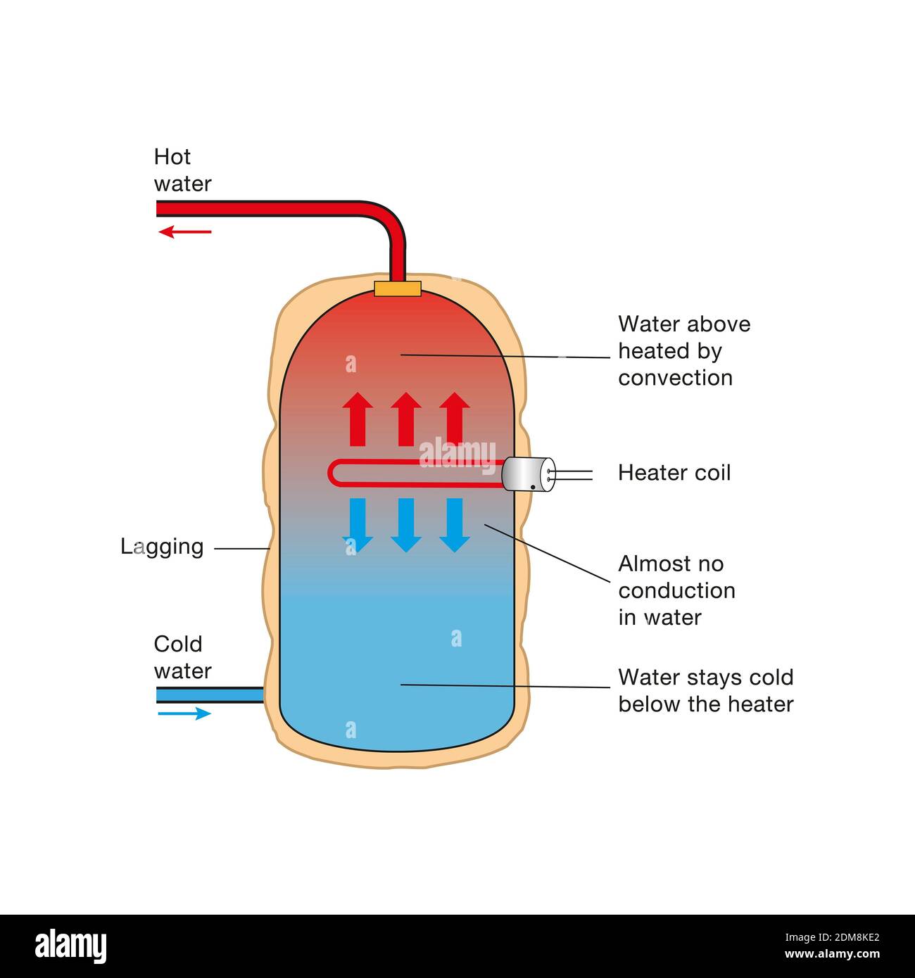 Immersion Heater Definition, How It Works, Types, Benefits