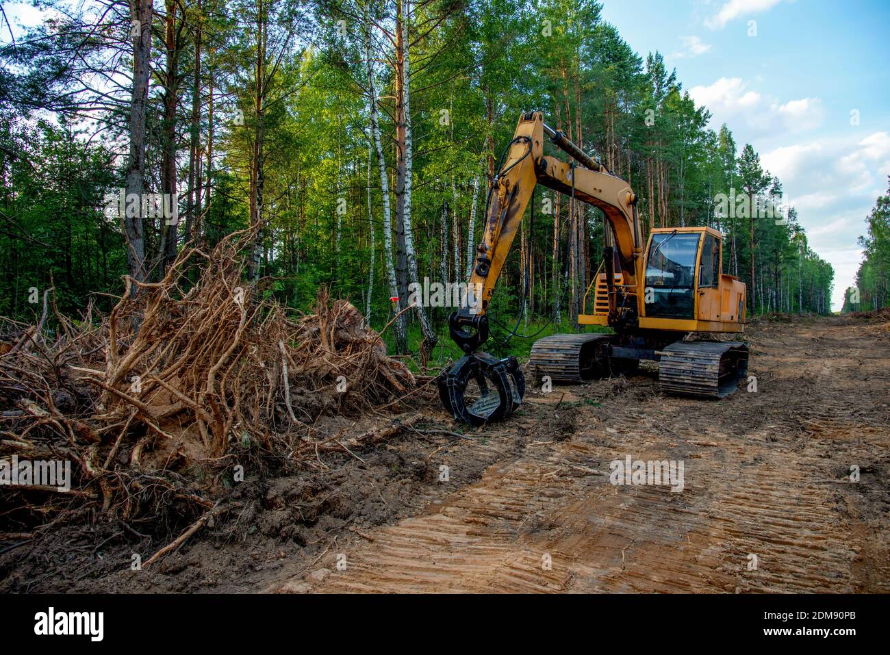 Excavator Grapple during clearing forest for new development. Tracked