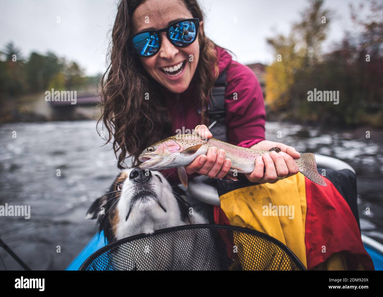 Woman holding a rainbow trout in boat with dog sniffing Stock Photo Alamy