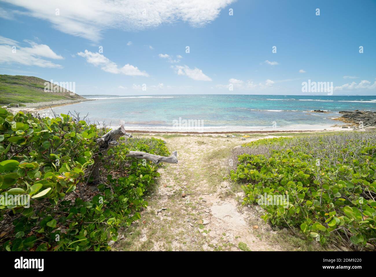 Lonely beach with pristine water at Ilet Pinel in Sint Marteen Stock Photo