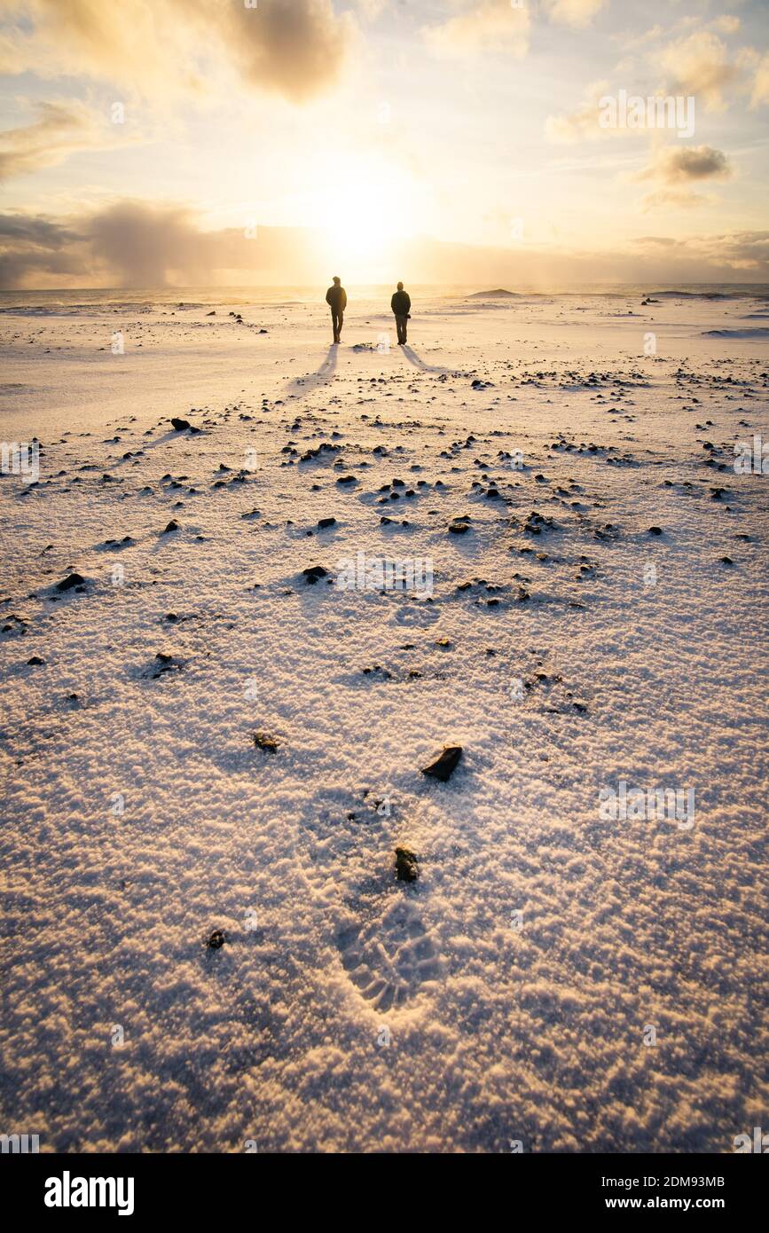 Two people walking at sunrise on black sand beach in Iceland in winter  Stock Photo - Alamy, image size:867x1390