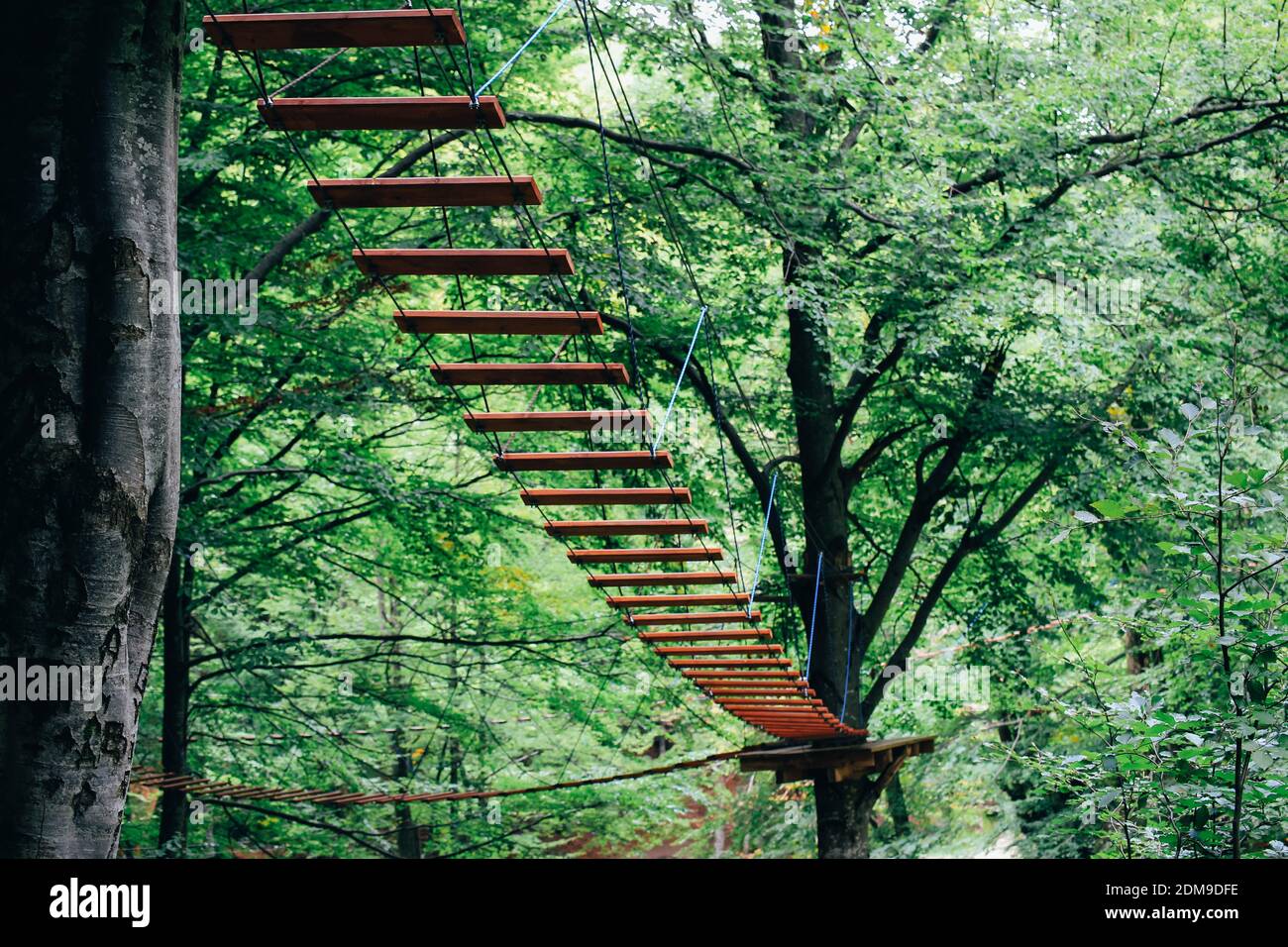 Extreme rope ladder fixed on high tree in adventure park Stock Photo