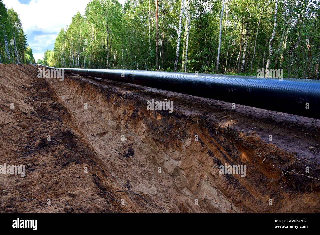 Crude oil and Natural gas pipeline construction work in forest area ...