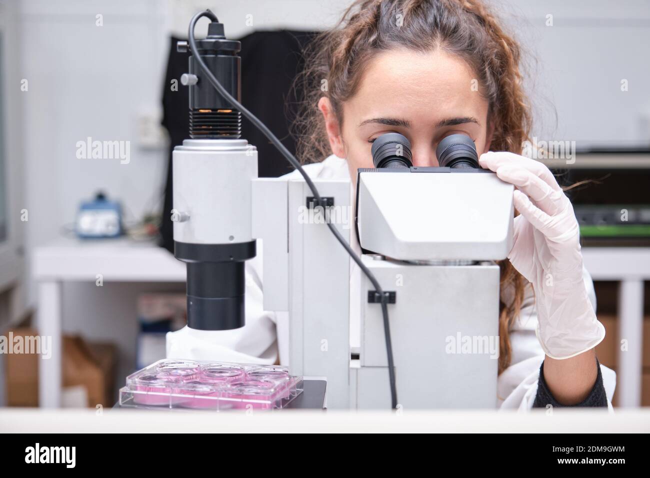 Young female scientist looking through a microscope in a laboratory. Laboratory research concept. Stock Photo