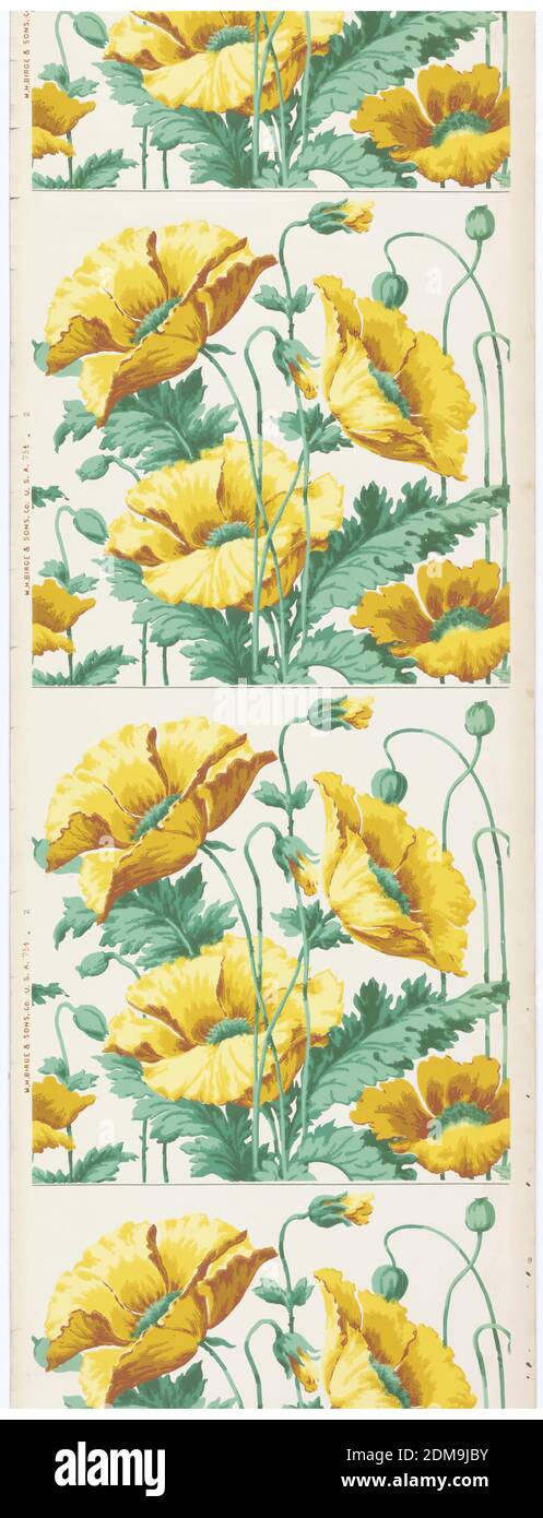 Frieze, M.H. Birge & Sons Co., 1834, Machine-printed paper, Art nouveau-style design. Large-scale yellow poppies on green stems printed on white ground. Design repeats vertically and would need to be cut apart to work as frieze., Buffalo, New York, USA, 1900–1910, Wallcoverings, Frieze Stock Photo
