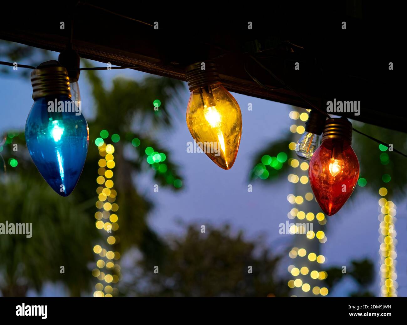 Christmas lights strung along roofline with light on trees in