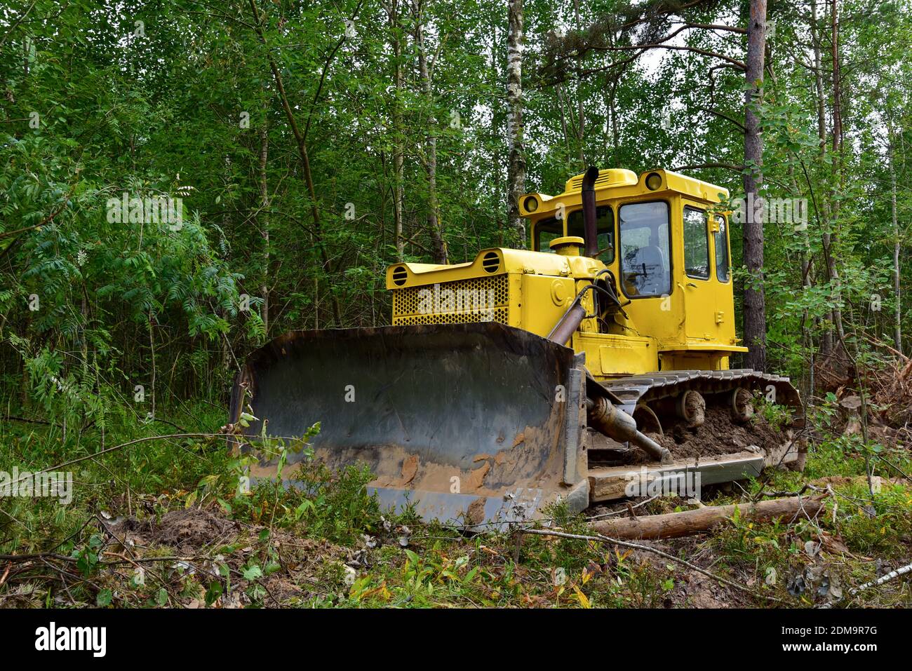 Dozer during clearing forest for construction new road . Yellow Bulldozer  at forestry work Earth-moving equipment at road work, land clearing,  grading Stock Photo - Alamy