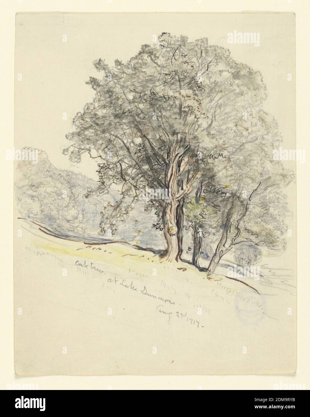 https://c8.alamy.com/comp/2DM9RYB/study-of-oak-trees-at-lake-dunmore-vermont-samuel-colman-american-18321920-pen-and-black-ink-brush-and-watercolor-colored-pencil-on-paper-vertical-rectangle-a-group-of-oaks-is-shown-in-the-foreground-standing-at-a-hillside-with-a-meadow-a-wood-is-in-the-left-background-high-bottom-margin-usa-august-23-1917-landscapes-drawing-2DM9RYB.jpg