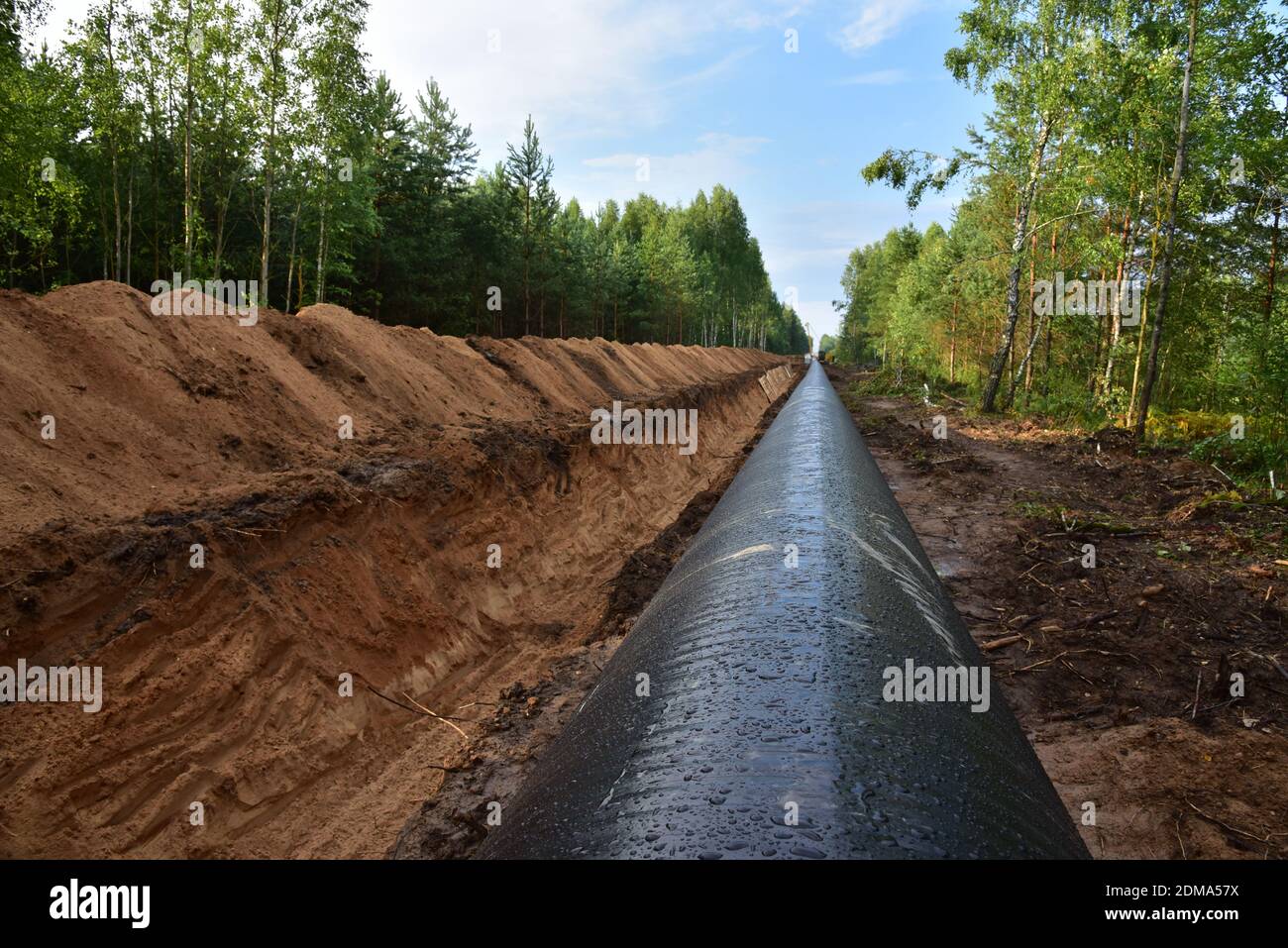 Crude oil and Natural gas pipeline construction work in forest area ...