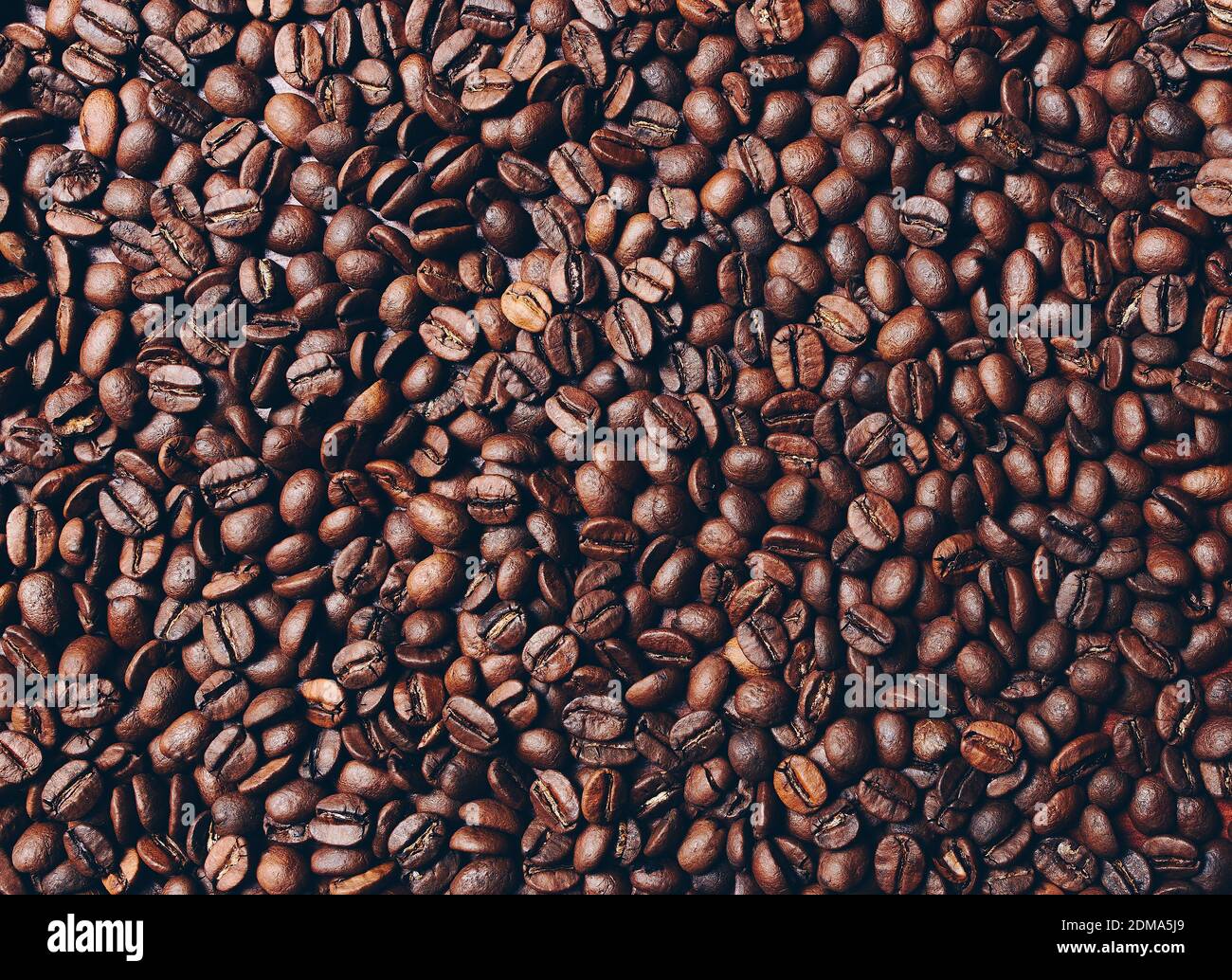 roasted coffee beans for sale