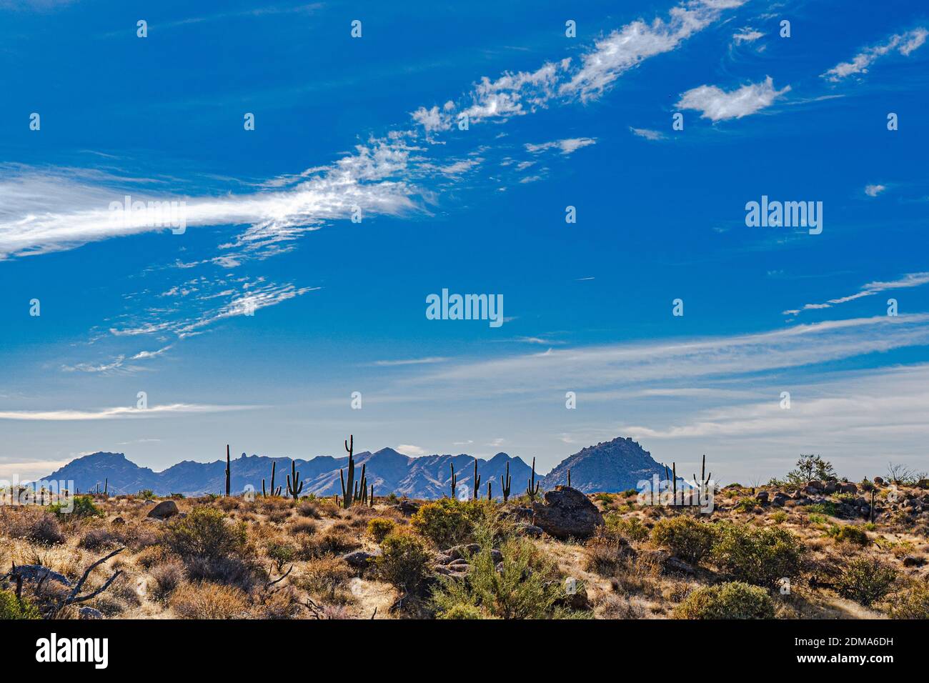Distant Desert Desert landscape cacti mountain hi-res stock photography and images - Alamy